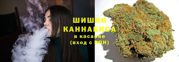 ГАЛЛЮЦИНОГЕННЫЕ ГРИБЫ Лабытнанги