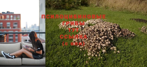 скорость Алексин
