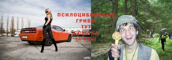 бутират Алзамай