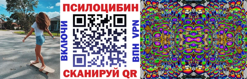 магазин продажи наркотиков  Темрюк  shop наркотические препараты  Псилоцибиновые грибы прущие грибы 